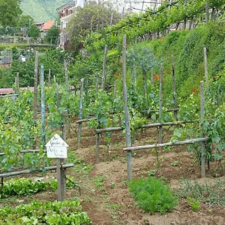 Aria Di